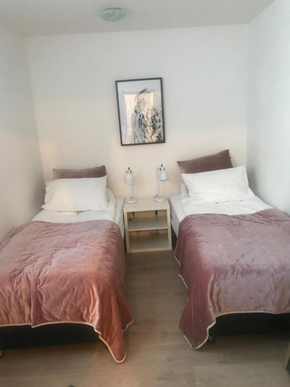 10B Gamla Læknishúsið Otel Saudarkrokur Dış mekan fotoğraf